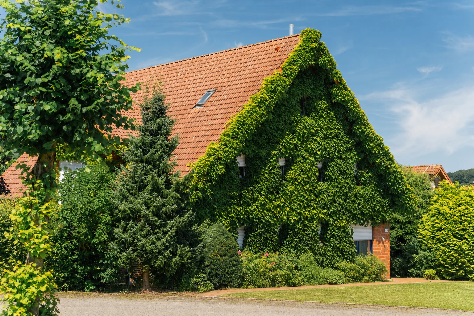 Efeubewachsenes Wohnhaus mit Garten in Hagen am Teutoburger Wald