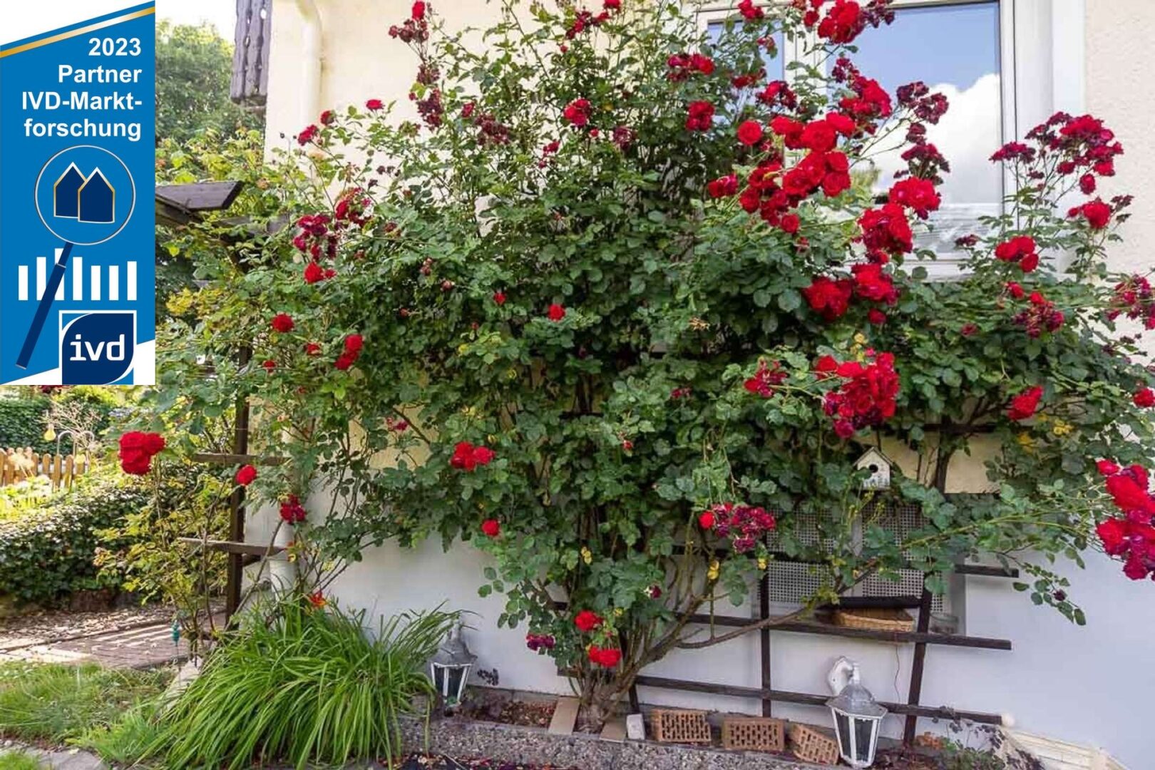 Rommelmann Immobilien68